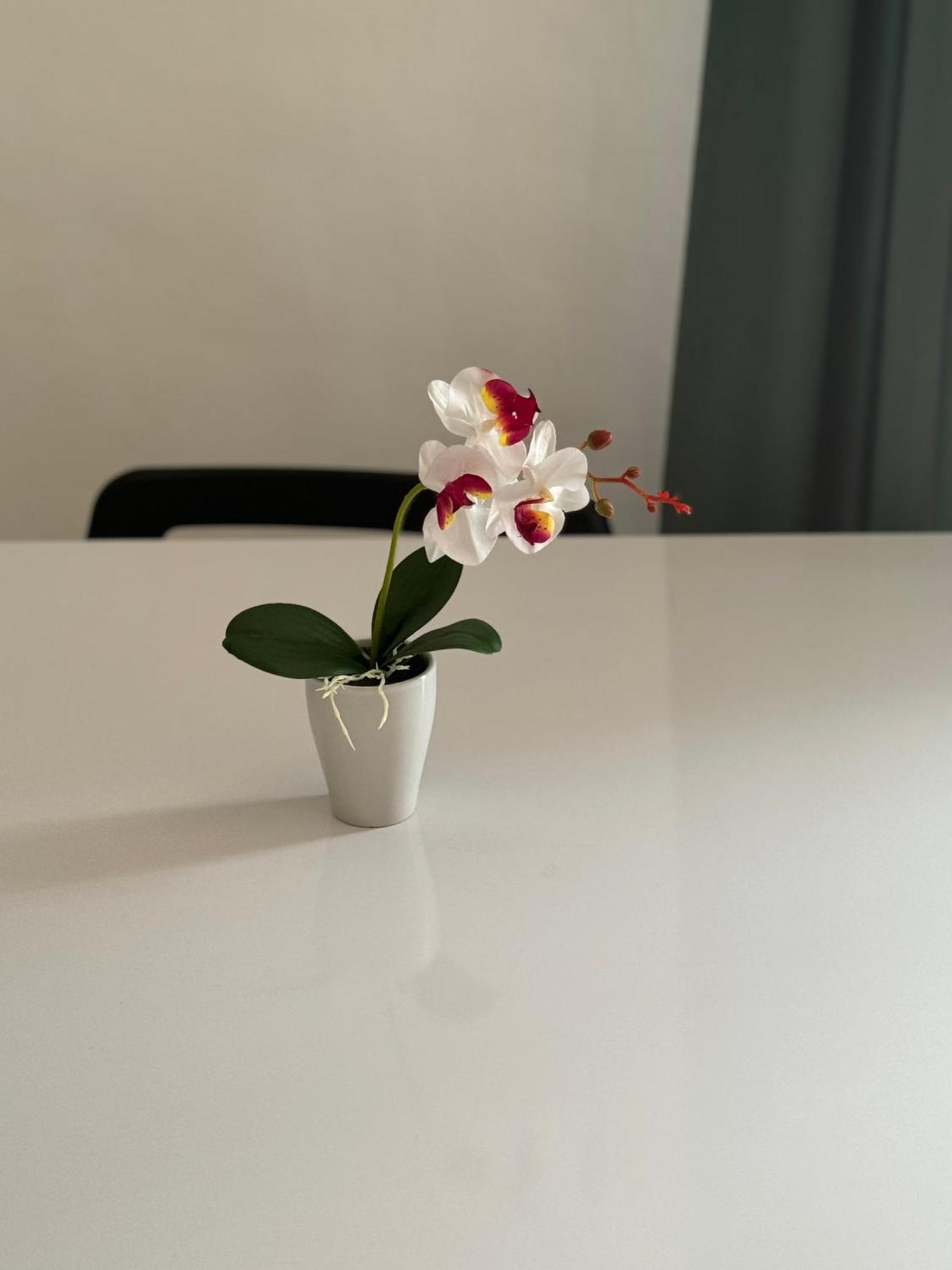 Natura In Centro Apartamento Turín